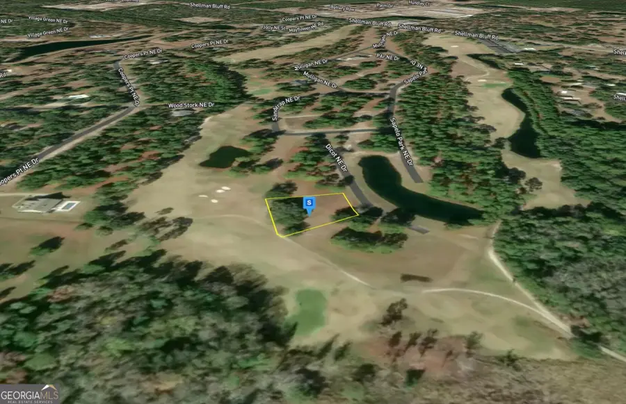 10 Divot Drive, Shellman Bluff, GA 31331 - #3