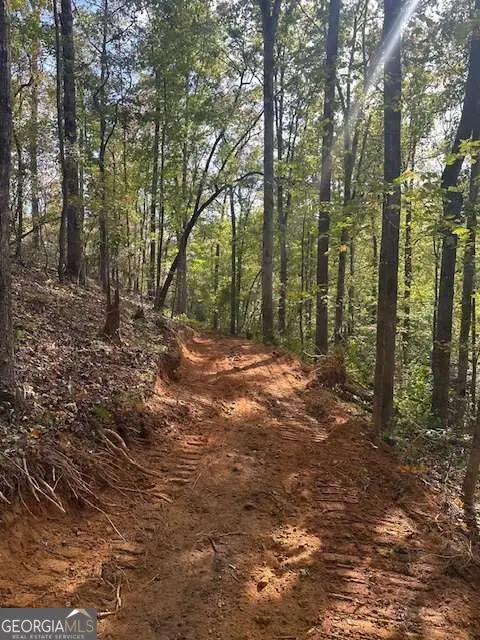 5 Yancy Drive, Dawsonville, GA 30534 - #3