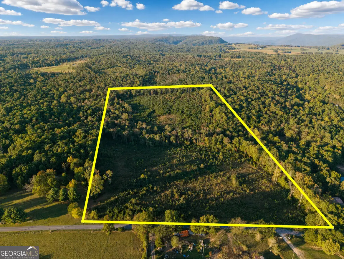 0 Gilreath Mill Road, Menlo, GA 30731 - #1