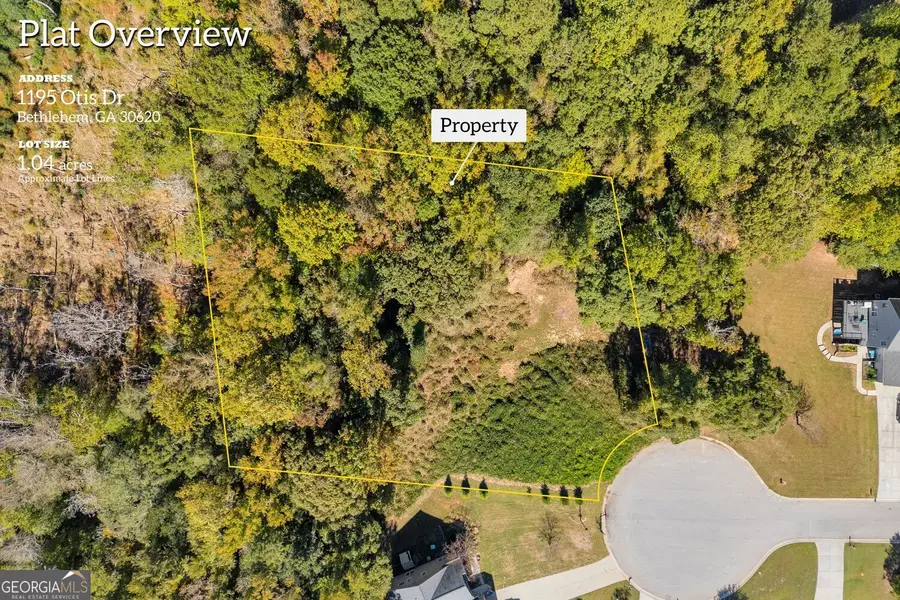 1195 Otis Drive, Bethlehem, GA 30620 - #2