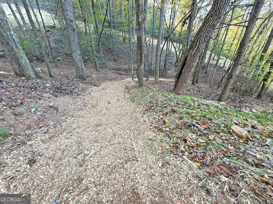 13C Rainey Valley Ln, Morganton, GA 30560 - #3