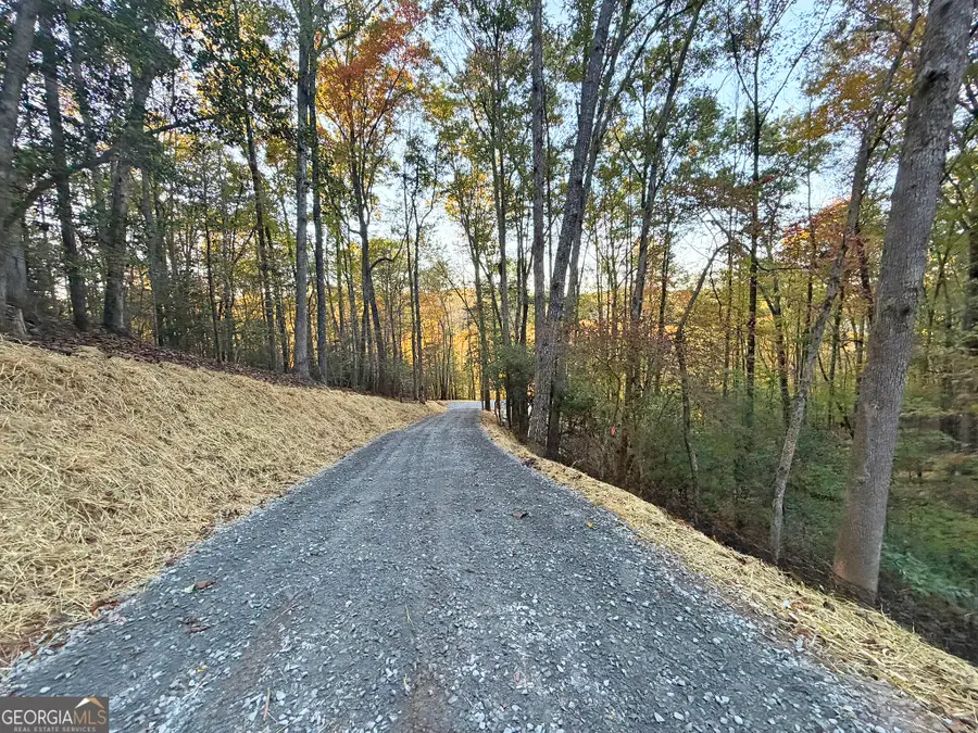 13D Rainey Valley Ln, Morganton, GA 30560 - #2
