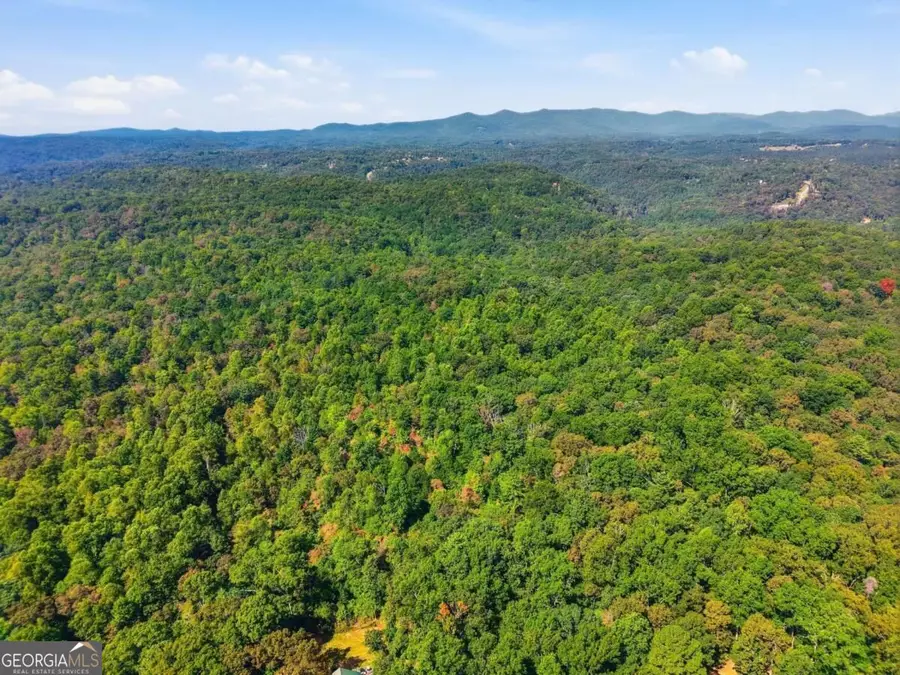 0 A-1 Fern Gully Way, Ellijay, GA 30540 - #3
