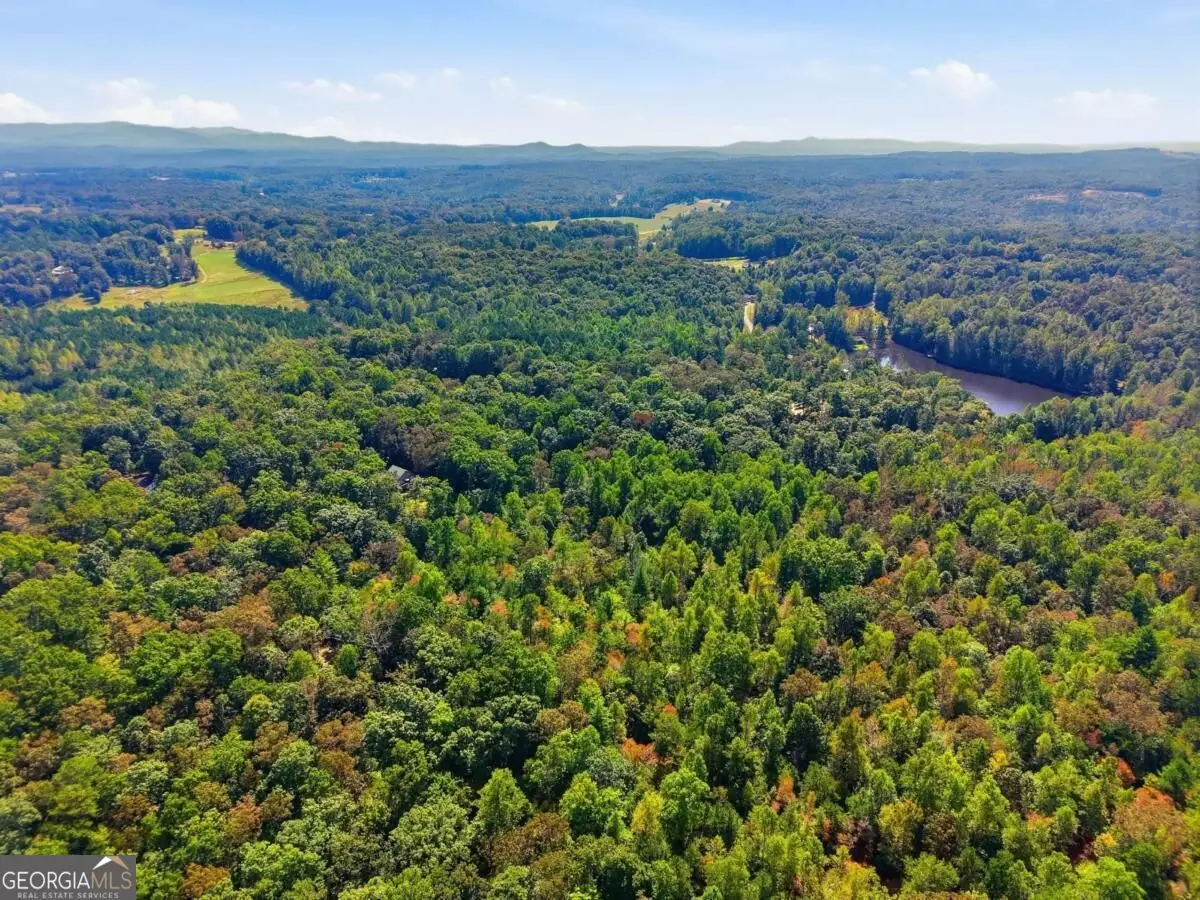 0 B-2 Fern Gully Way, Ellijay, GA 30540 - #1