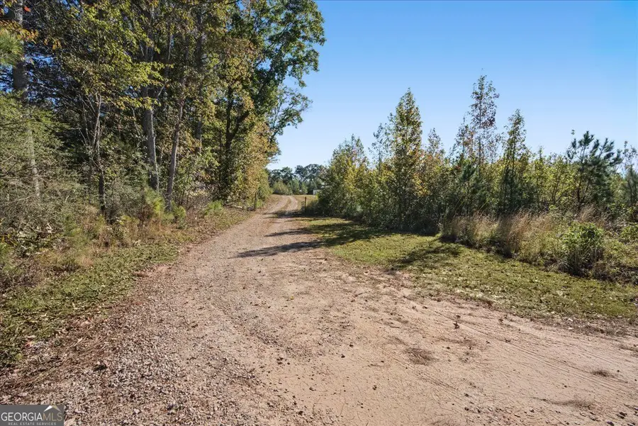 533 Lively Road, Waco, GA 30182 - #3