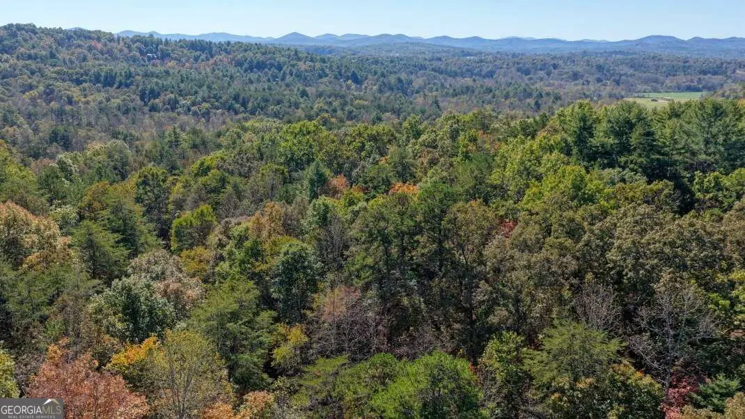 3 AC Alicia Lane, Blairsville, GA 30512 - #1