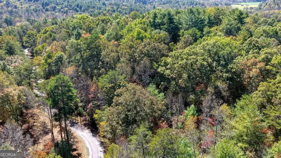 3 AC Alicia Lane, Blairsville, GA 30512 - #3