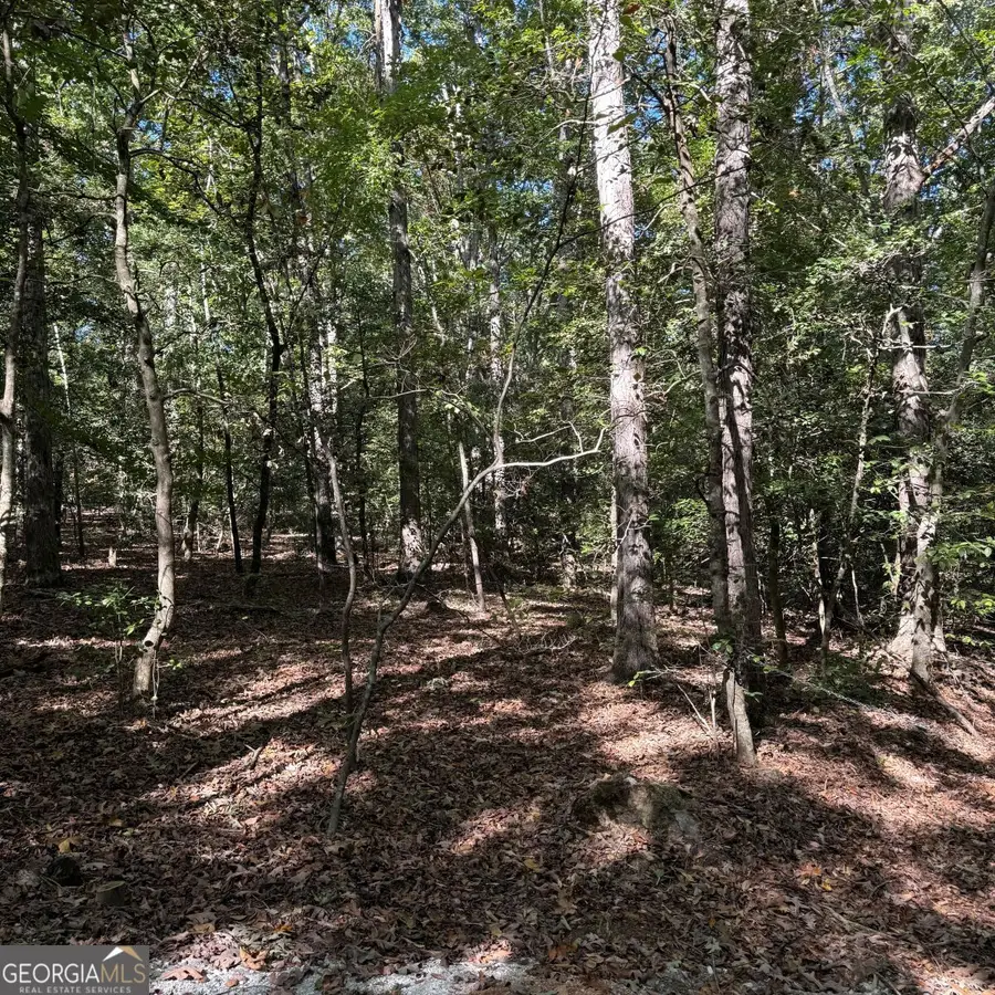 1035 Holly Hills Drive, Hartwell, GA 30643 - #3