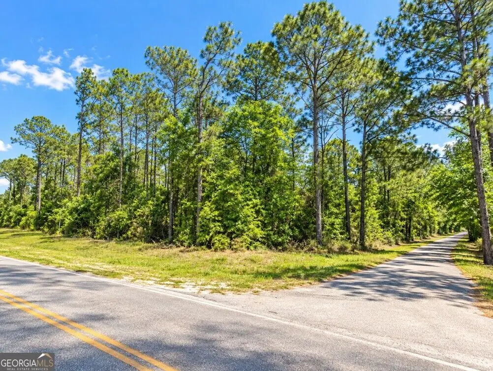 31985 Carney Mill Drive, Lillian, AL 36549 - #1