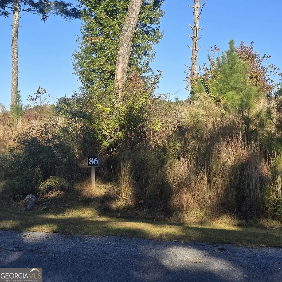 LOT 86 River Overlook Lane, Ellijay, GA 30540 - #1