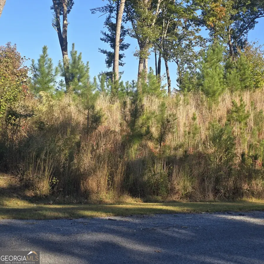 LOT 86 River Overlook Lane, Ellijay, GA 30540 - #2