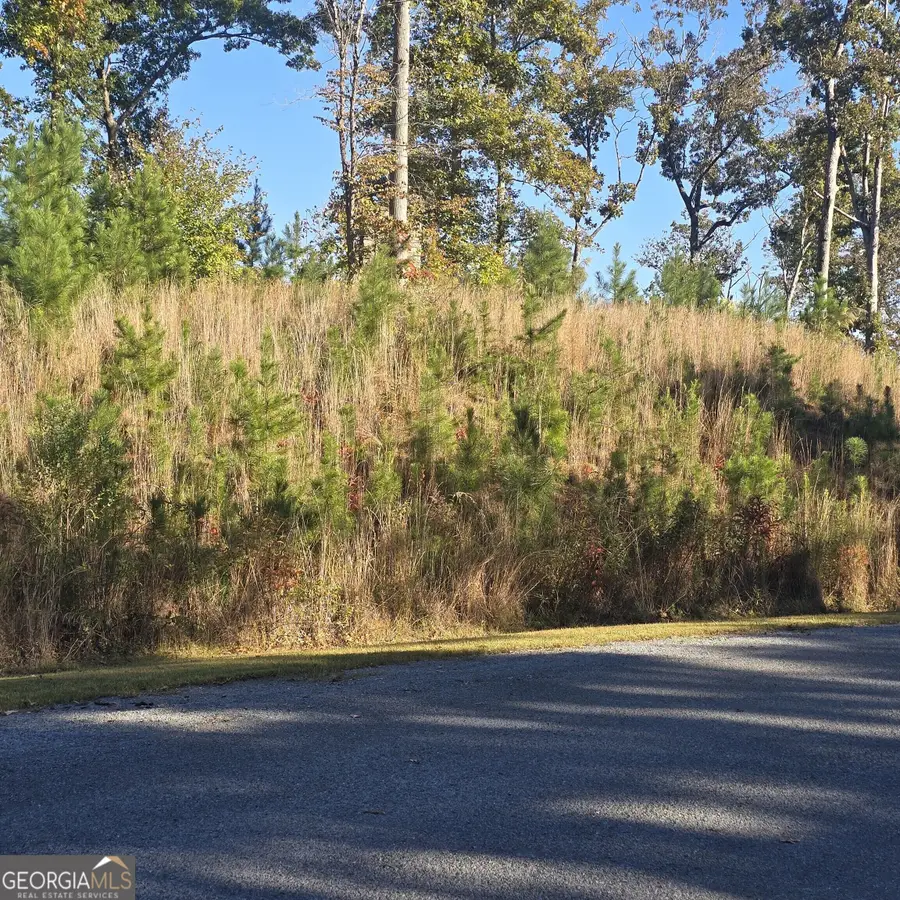 LOT 86 River Overlook Lane, Ellijay, GA 30540 - #3