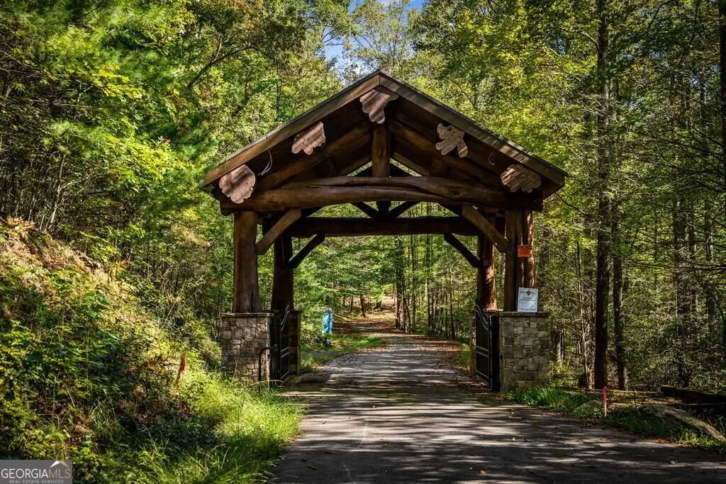 LT 2 Pheasant Tail Trace, Ellijay, GA 30536 - #1