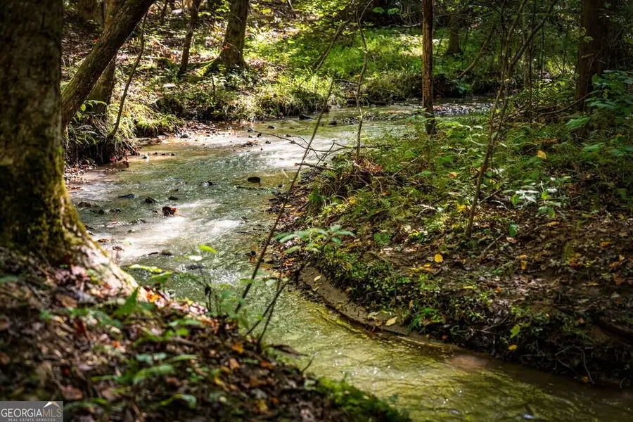 LT 2 Pheasant Tail Trace, Ellijay, GA 30536 - #2