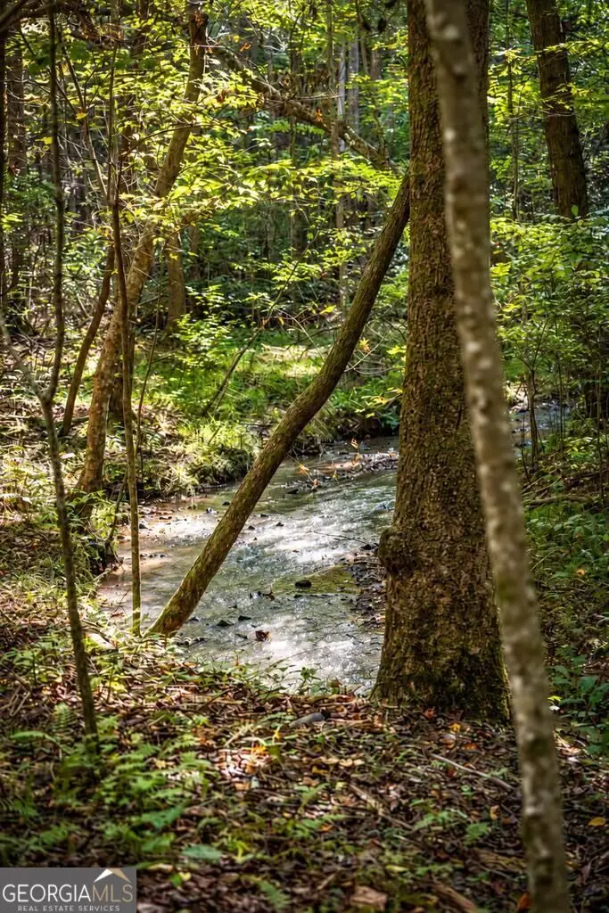 LT 2 Pheasant Tail Trace, Ellijay, GA 30536 - #3