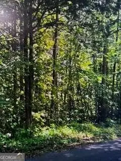 0 Ben Mosley Circle, Summerville, GA 30747