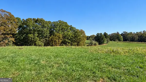 0 Double Bridge Connecter #LOT 2, Demorest, GA 30535