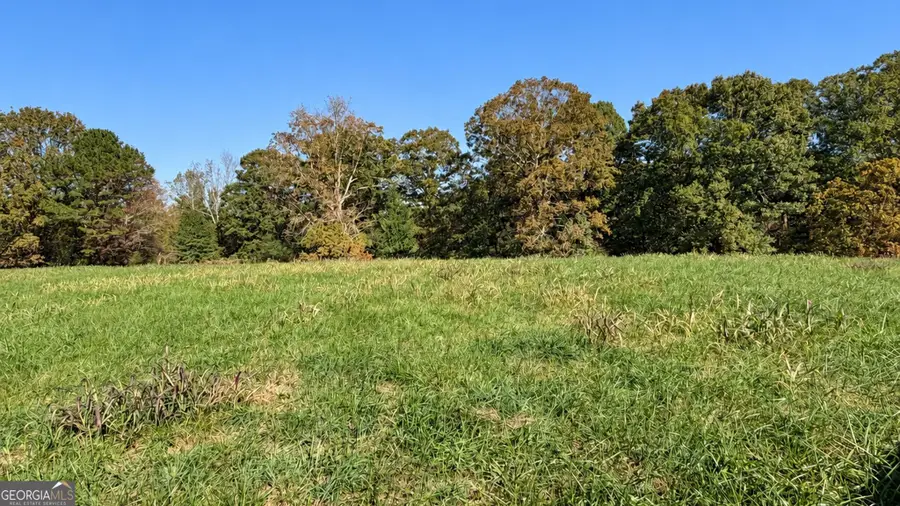 0 Double Bridge Connecter #LOT 2, Demorest, GA 30535 - #3