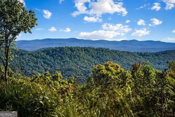 LT 25 Stone Fly Close Road, Ellijay, GA 30536