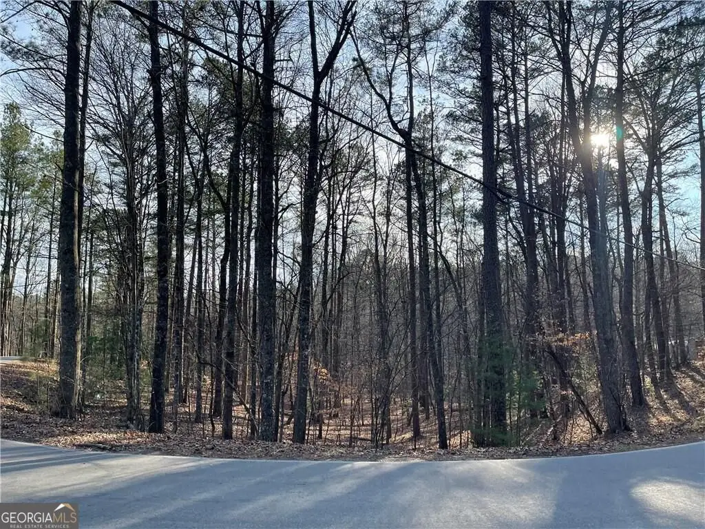 397EM Lemmon Drive, Ellijay, GA 30540 - #1