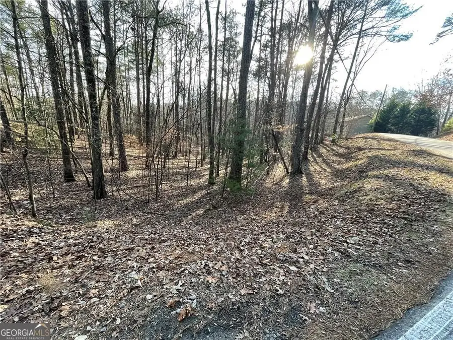 397EM Lemmon Drive, Ellijay, GA 30540 - #3