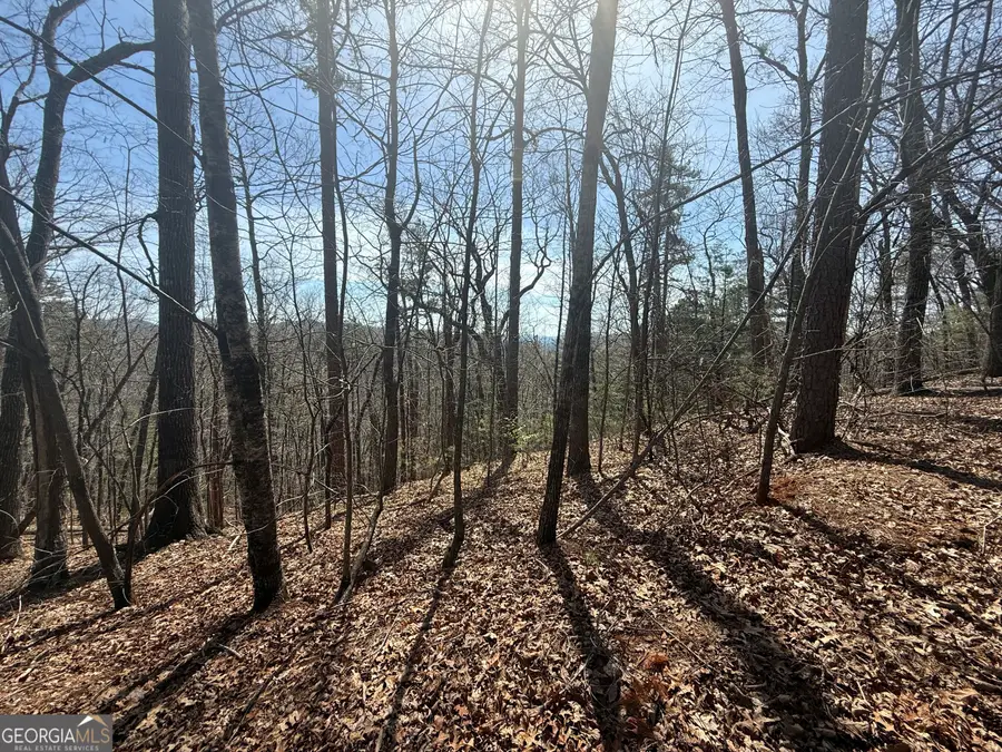 TRACT 3A Big View Lane, Clayton, GA 30525 - #2