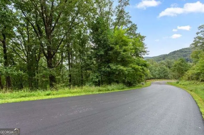 232 Andes Ridge, South Gilmer, GA 30175 - #3