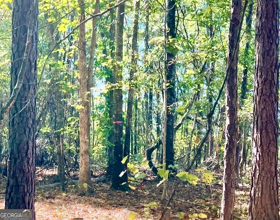 LOT 2 Roberts Quarters Road, Molena, GA 30258 - #1