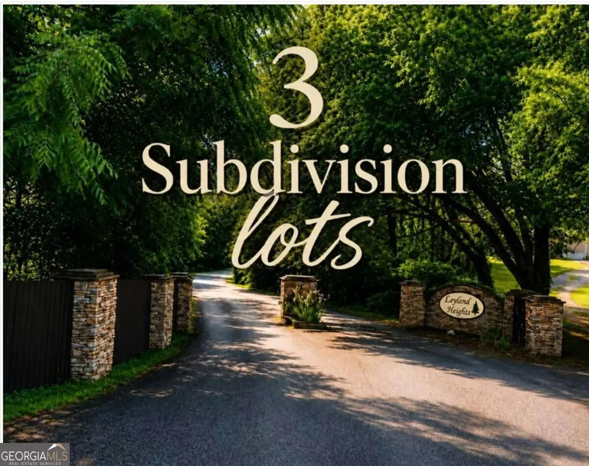 3 LOTS Leyland Heights, Ellijay, GA 30540 - #1