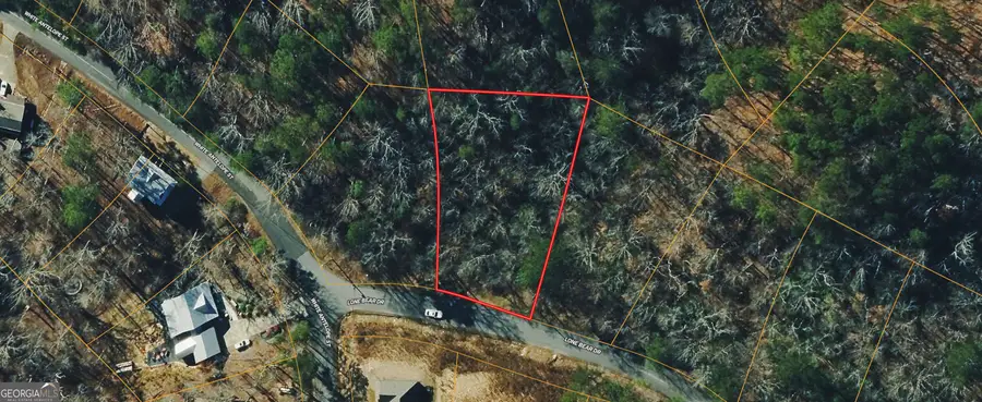 166 Lone Bear Drive, Waleska, GA 30183 - #3
