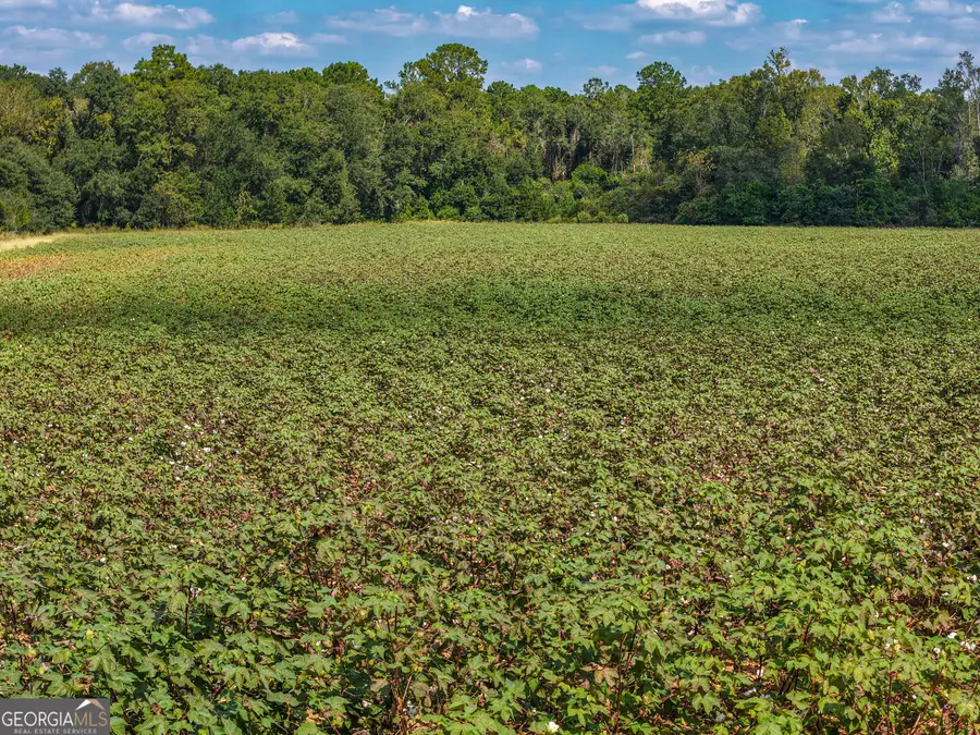 0 Nantze Springs Road, Arlington, GA 39813 - #2