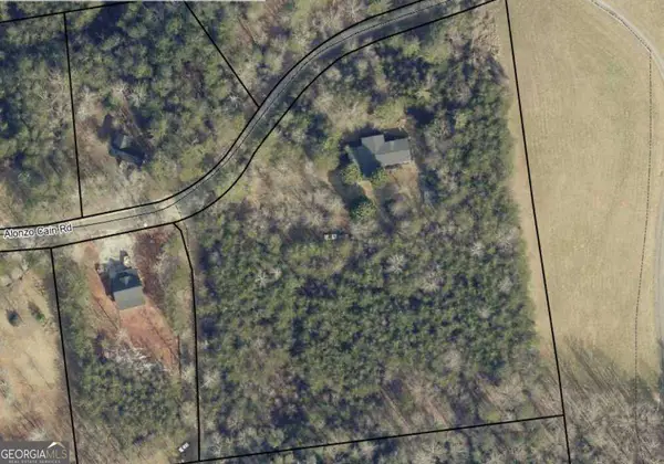 186 Alonzo Cain Road, Dahlonega, GA 30533
