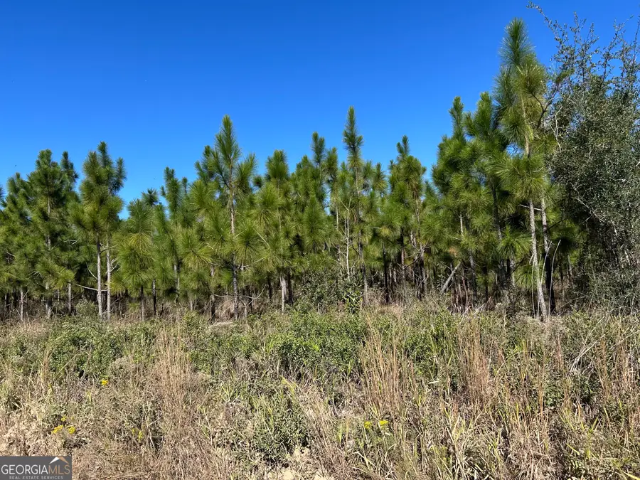 141 ACRES Hwy 121, Reidsville, GA 30453 - #2