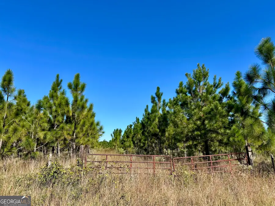 141 ACRES Hwy 121, Reidsville, GA 30453 - #3