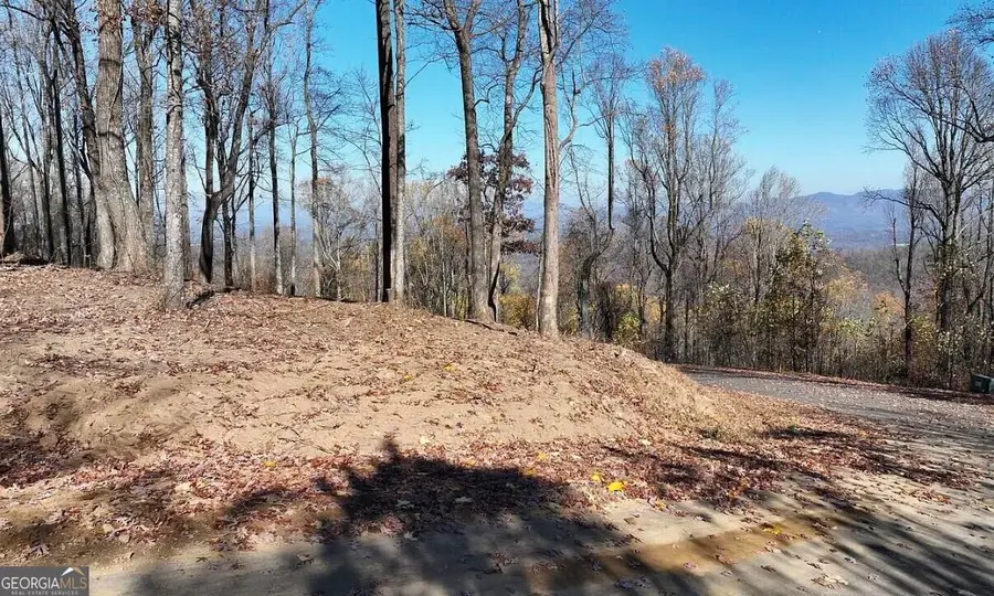 0 Andes Ridge, Ellijay, GA 30536 - #2