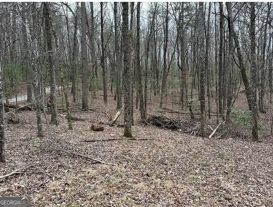 0 Roy Road, Ellijay, GA 30536 - #2