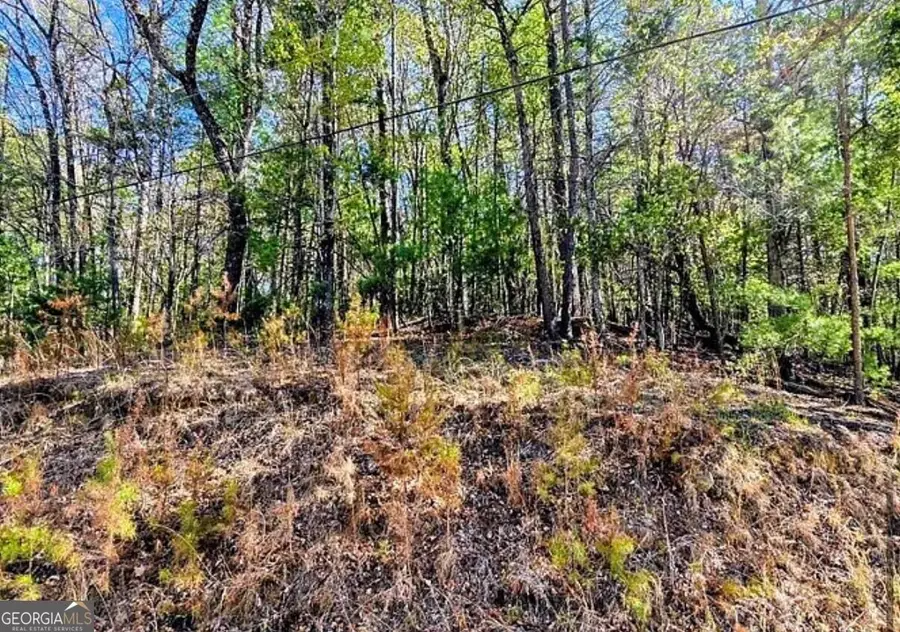 0 Goldmine Drive, Ellijay, GA 30536 - #3