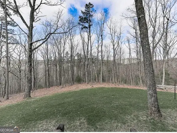 0 Weeks Drive, Ellijay, GA 30540