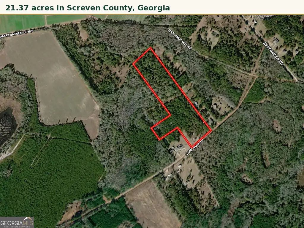 0 Cameron Road, Sylvania, GA 30467 - #1