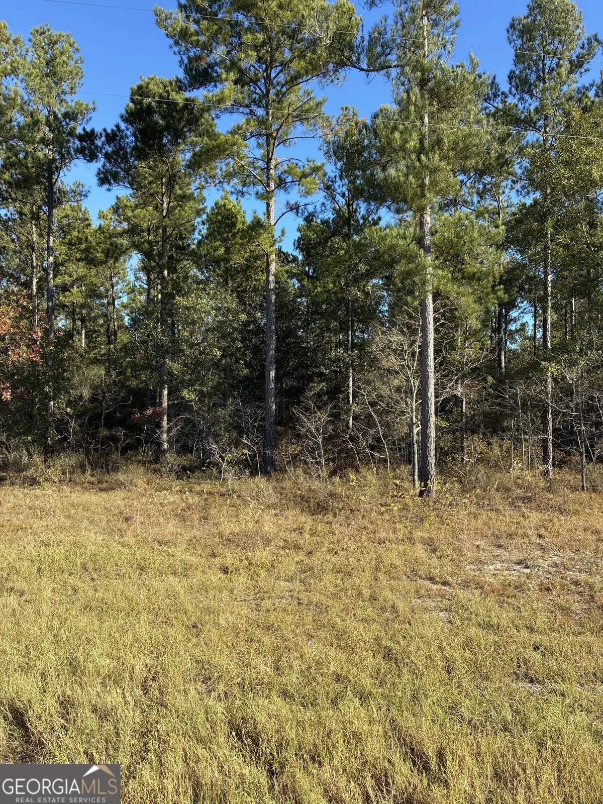 0 Hwy 46, Twin City, GA 30471 - #1