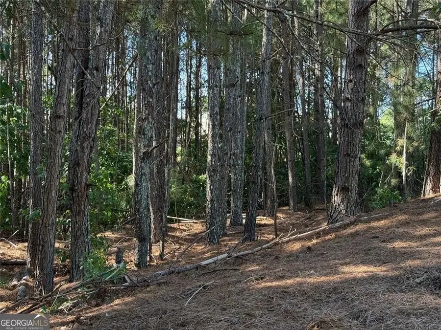 310 Burgess Mill Trail, Suwanee, GA 30024 - #3