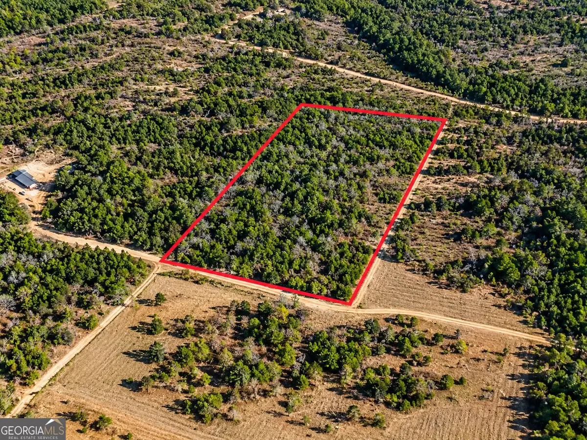 0 Black Creek Tr, Mauk, GA 31058 - #1
