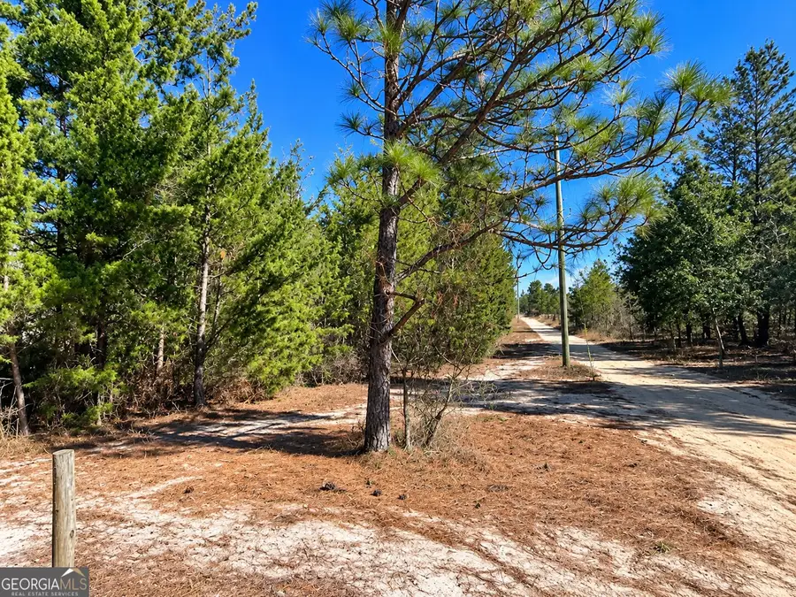 0 Black Creek Tr, Mauk, GA 31058 - #2