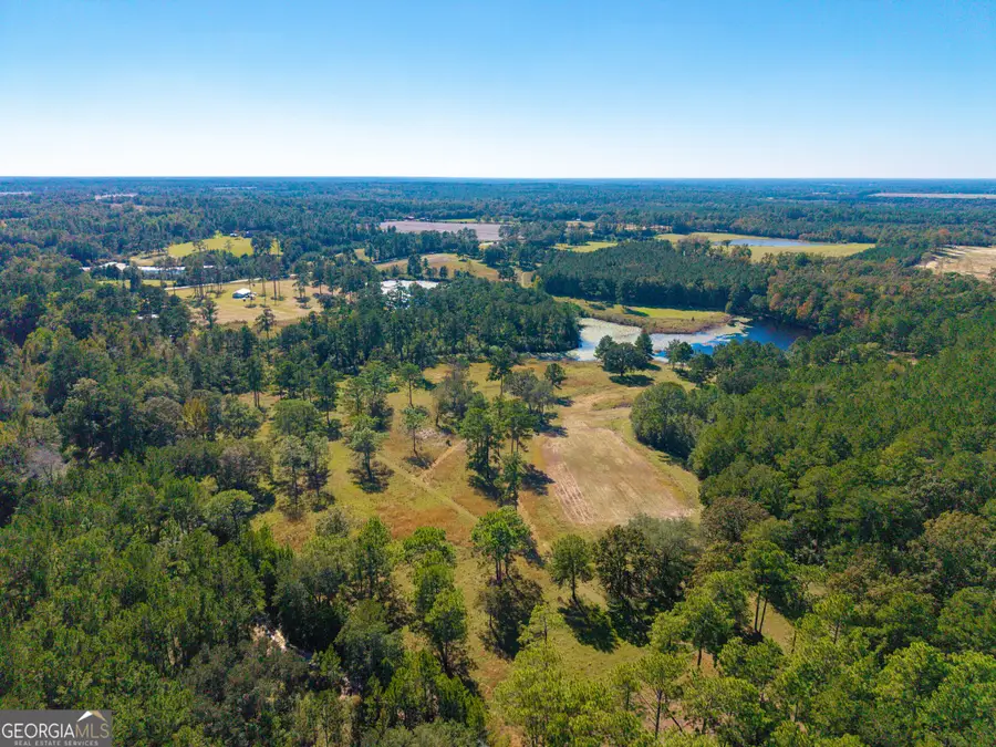 4688 Mt Olive Rd, Pelham, GA 31779 - #2