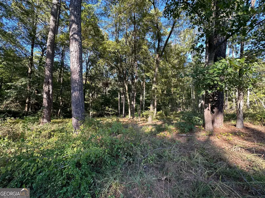 5353 Cascade Road Sw #LOT  1A, South Fulton, GA 30331 - #2