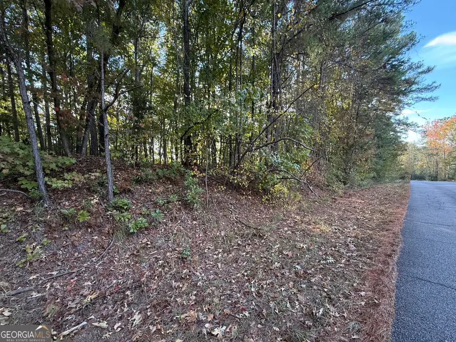0 Waterview Drive, Lagrange, GA 30240 - #3