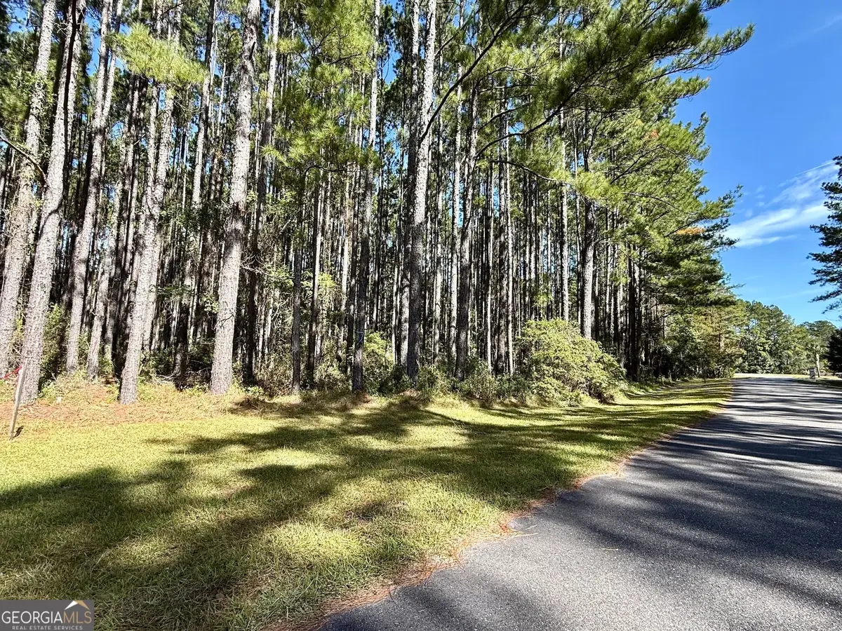 0 La Vento Lane, Waverly, GA 31565 - #1