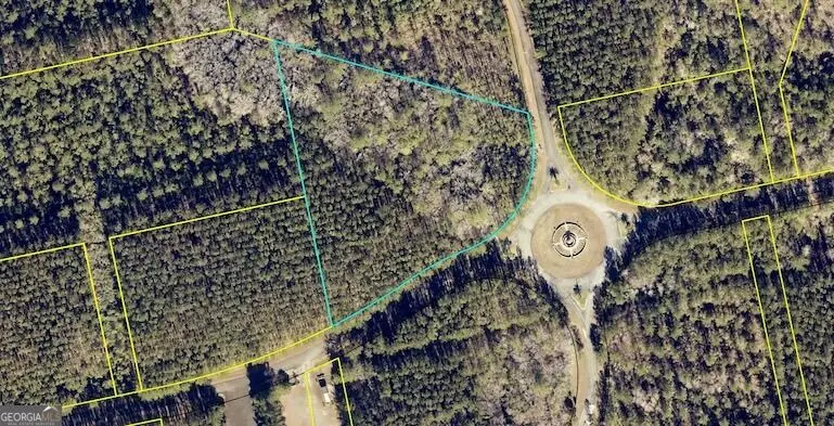 0 La Vento Lane, Waverly, GA 31565 - #2
