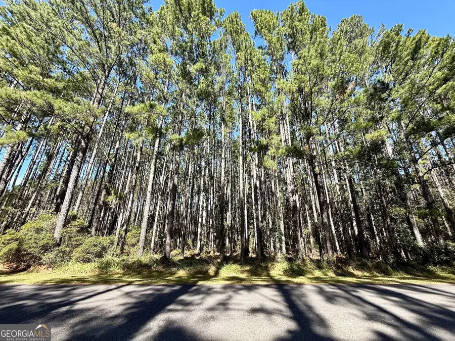 0 La Vento Lane, Waverly, GA 31565 - #3