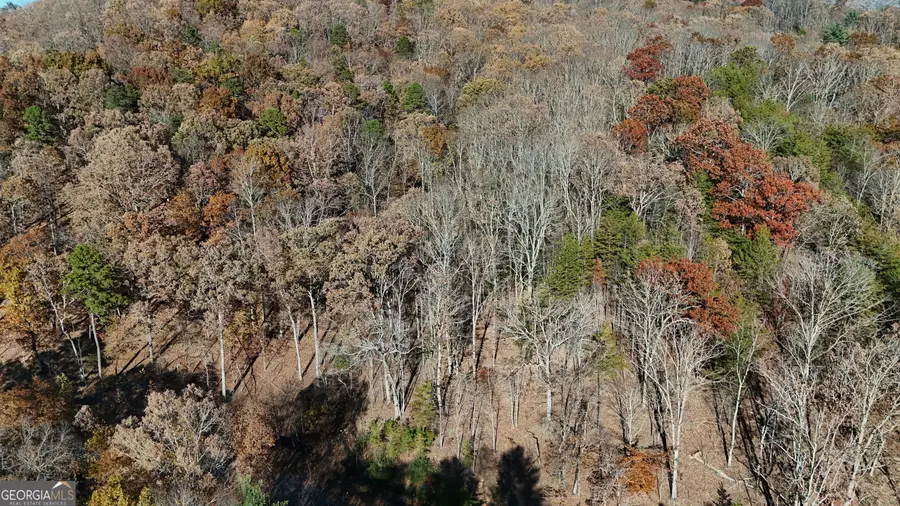 LOT 183 Northshore Drive, Cleveland, GA 30528 - #3